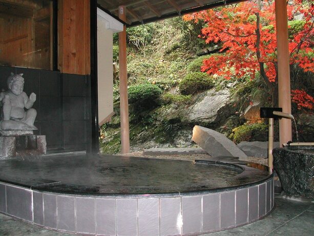 Imagen general del Hotel Yado Hanaya Tokubei - Dorogawa-onsen Hot Spring. Foto 2