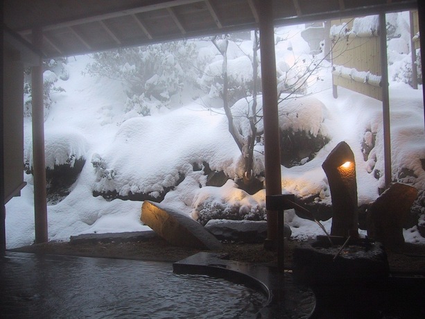 Imagen general del Hotel Yado Hanaya Tokubei - Dorogawa-onsen Hot Spring. Foto 5