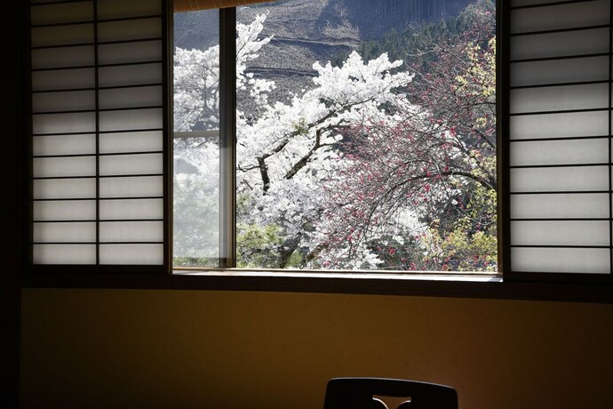 Imagen de la habitación del Hotel Yado Kanzan. Foto 15