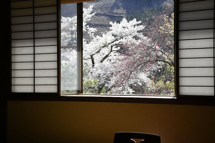 Imagen de la habitación del Hotel Yado Kanzan. Foto 31
