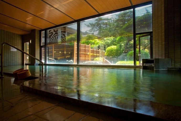 Imagen de la piscina del Hotel Yagi. Foto 17