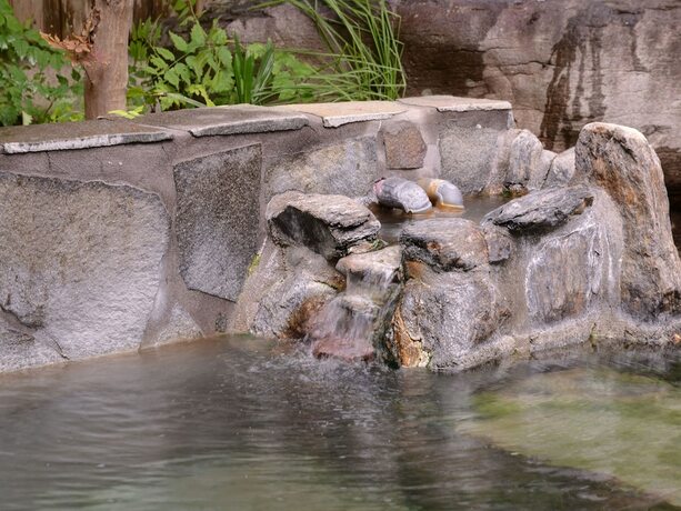 Imagen general del Hotel Yagurumasou. Foto 4