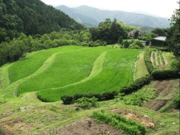 Imagen general del Hotel Yagyu no Sho. Foto 7