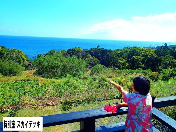Imagen general del Hotel Yakushima Cottage Morino Fairy. Foto 6