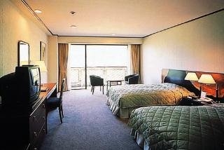 Imagen de la habitación del Hotel Yakushima Iwasaki. Foto 3