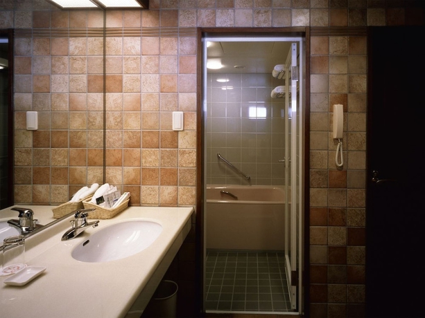 Imagen de la habitación del Hotel Yakushima Iwasaki. Foto 9