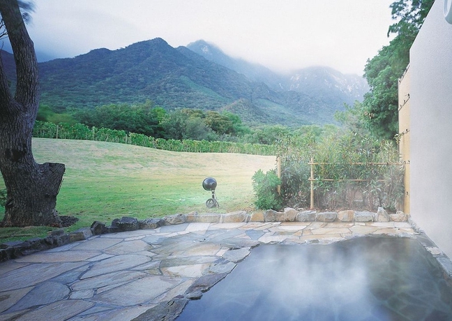Imagen de la piscina del Hotel Yakushima Iwasaki. Foto 18