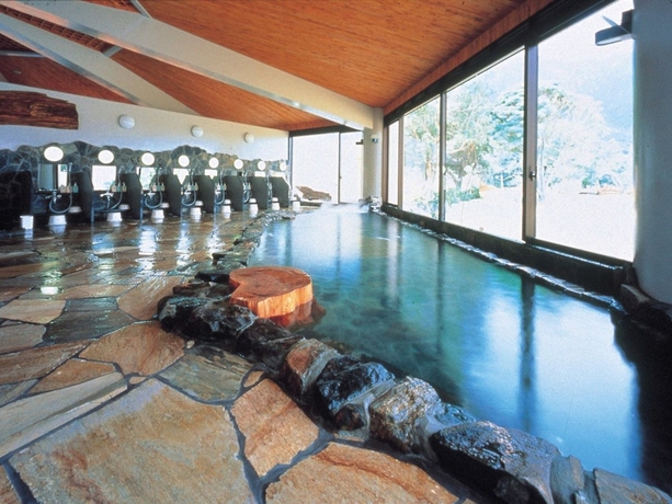 Imagen de la piscina del Hotel Yakushima Iwasaki. Foto 19
