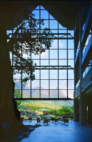 Imagen de los interiores del Hotel Yakushima Iwasaki. Foto 15