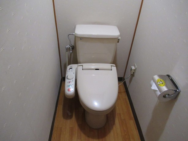 Imagen de la habitación del Hotel Yamaga Onsen Ryokan Hosokawa. Foto 9