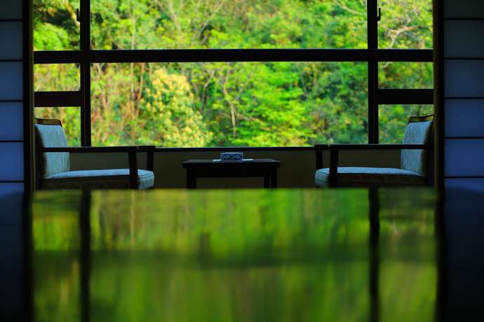 Imagen de la habitación del Hotel Yamanaka Onsen Ohanami Kyubei. Foto 12