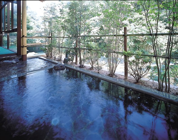 Imagen general del Hotel Yamanaka Onsen Shirasagiyu Tawaraya. Foto 6