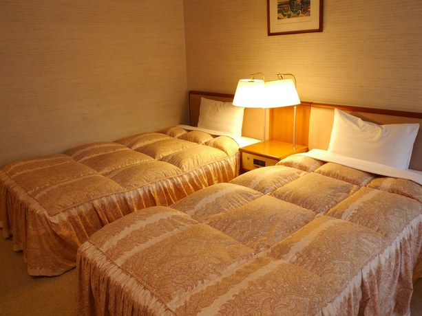Imagen de la habitación del Hotel Yamanakako-asahigaoka-onsen Seikei. Foto 5