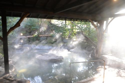 Imagen general del Hotel Yamashinobu. Foto 3