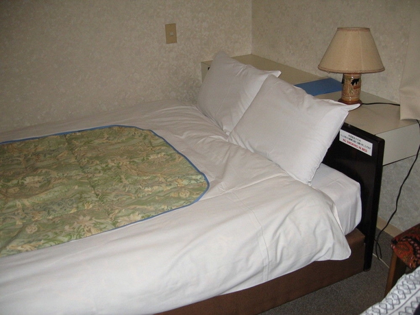Imagen de la habitación del Hotel Yamayuri. Foto 2