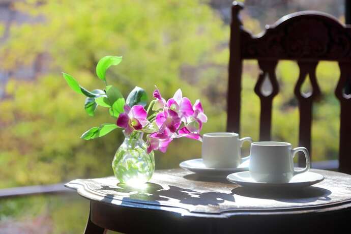 Imagen general del Hotel Yamayuri No Yado. Foto 9