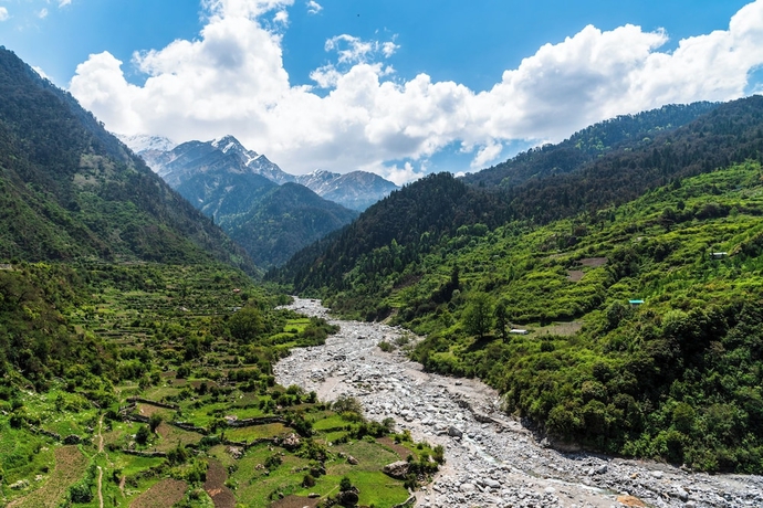 Imagen general del Hotel Yamunotri Cottages. Foto 1