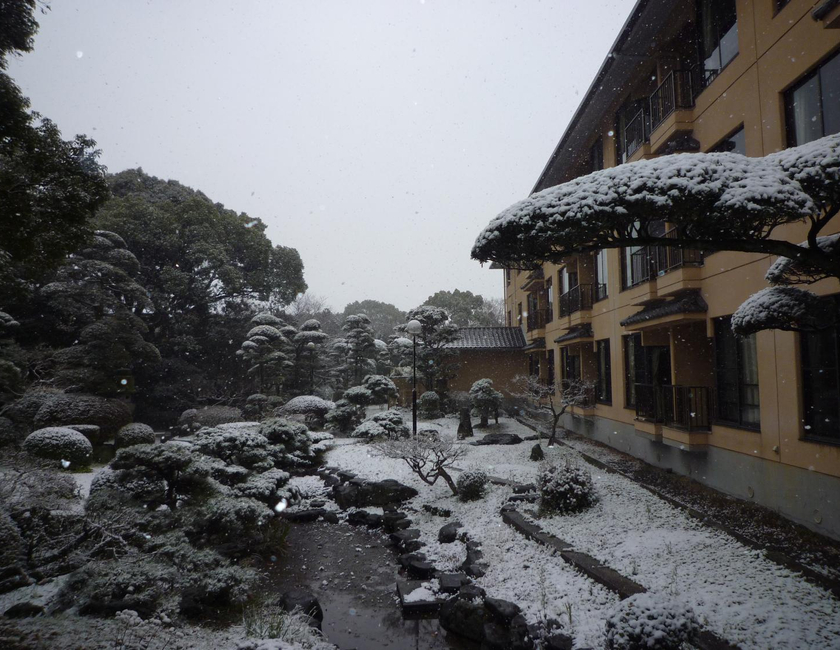 Imagen general del Hotel Yanagawa Hakuryuso. Foto 15