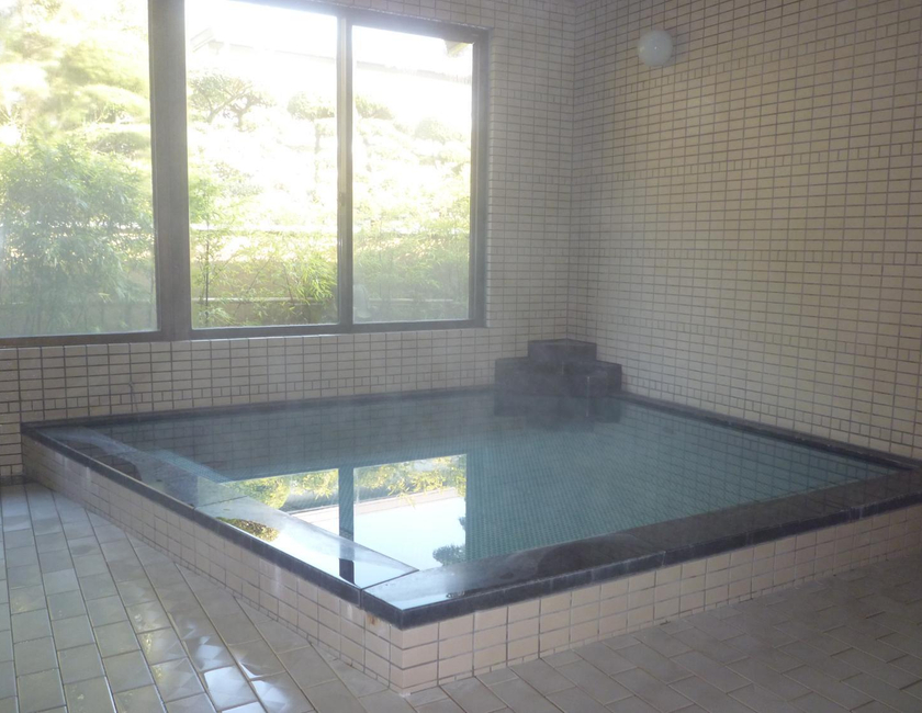 Imagen general del Hotel Yanagawa Hakuryuso. Foto 22