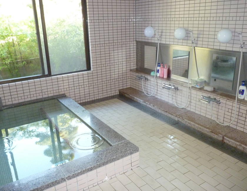Imagen general del Hotel Yanagawa Hakuryuso. Foto 24