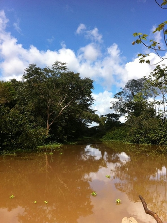 Imagen de los exteriores del Hotel Yanayacu River Lodge. Foto 16