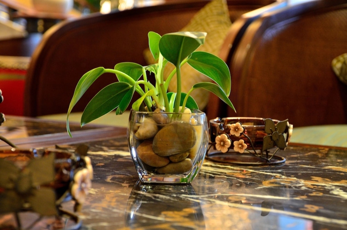 Imagen de los interiores del Hotel Yangming Springs and Spa Resort. Foto 15