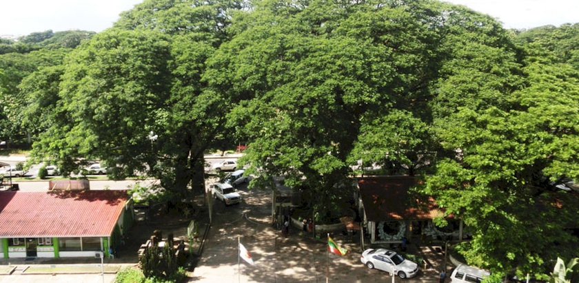 Imagen general del Hotel Yangon International Japan. Foto 2