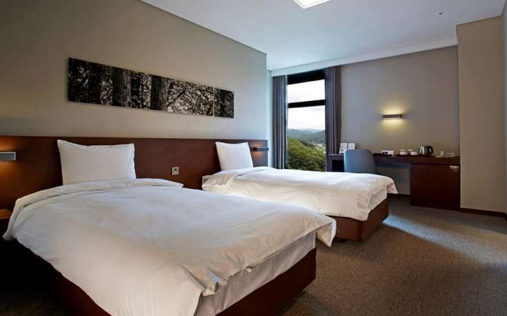 Imagen de la habitación del Hotel Yangpyeong Bloomvista. Foto 11