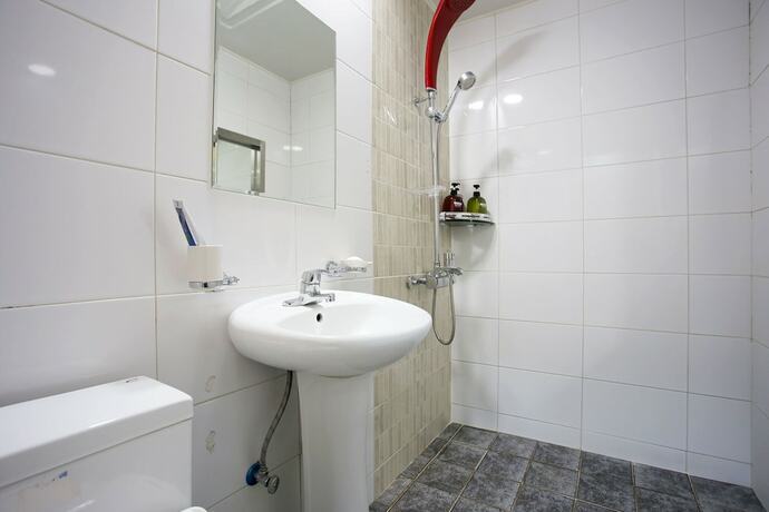 Imagen general del Hotel Yangpyeong Herb. Foto 3