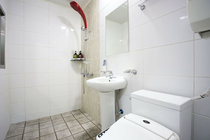 Imagen general del Hotel Yangpyeong Herb. Foto 14