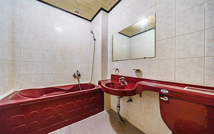 Imagen general del Hotel Yangpyeong Rose Park. Foto 3