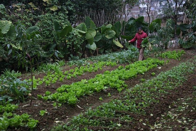 Imagen de los exteriores del Hotel Yangshuo Village Inn. Foto 14
