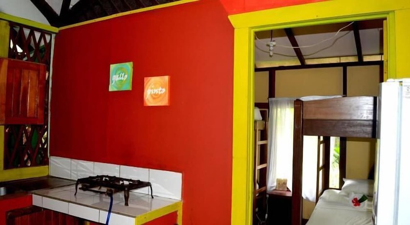 Imagen de la habitación del Hotel Yare Jungle Lodge. Foto 11