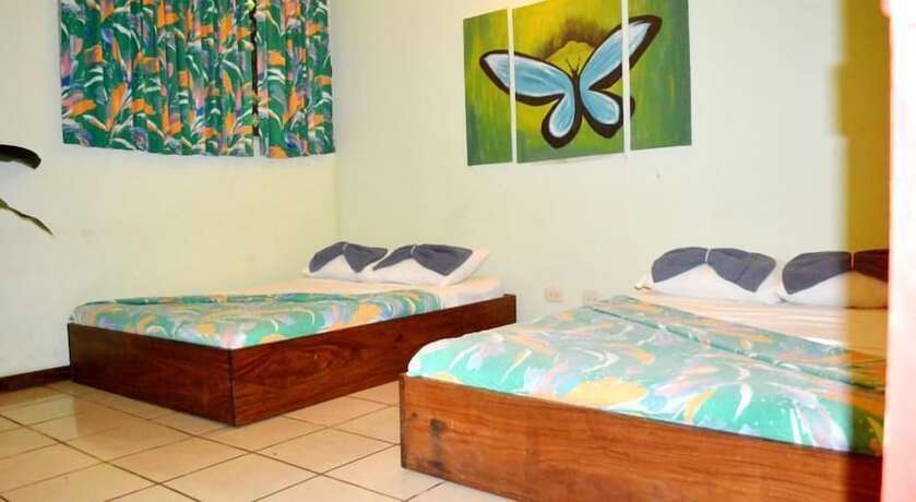 Imagen de la habitación del Hotel Yare Jungle Lodge. Foto 15