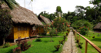 Imagen de los exteriores del Hotel Yarina Eco Lodge. Foto 6