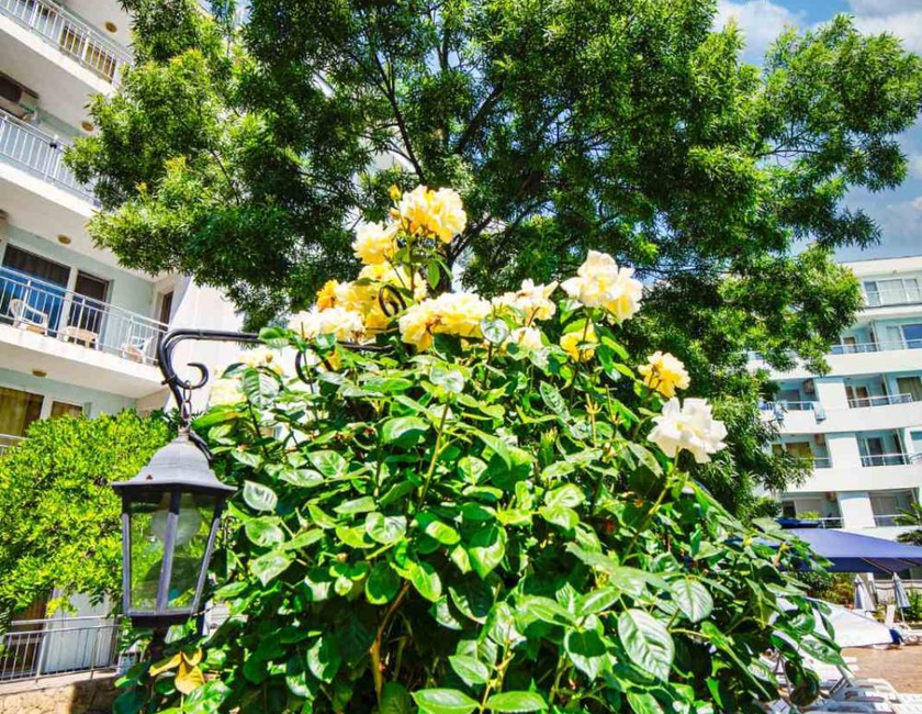 Imagen general del Hotel Yassen Holiday Village, Sunny Beach. Foto 15