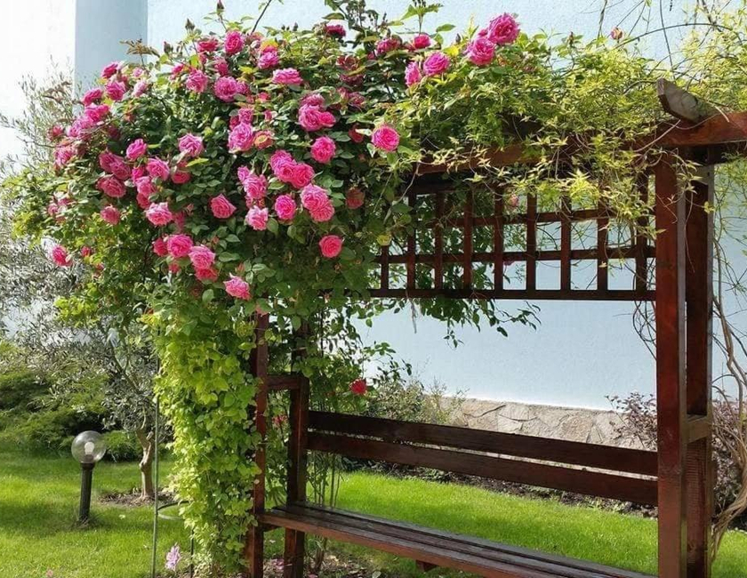 Imagen general del Hotel Yassen Holiday Village, Sunny Beach. Foto 24