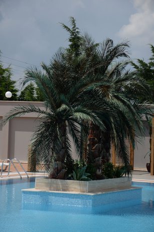 Imagen de la piscina del Hotel Yayoba. Foto 20