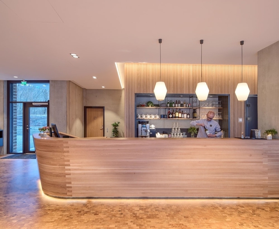 Imagen del bar/restaurante del Hotel Ydalir. Foto 8