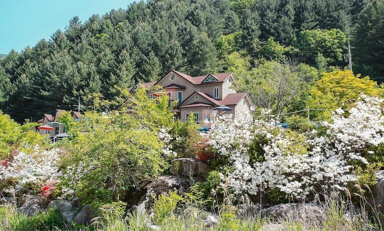 Imagen general del Hotel Yedam Healing House. Foto 1