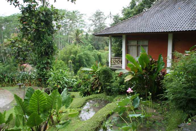Imagen de los exteriores del Hotel Yeh Panes Bali. Foto 15