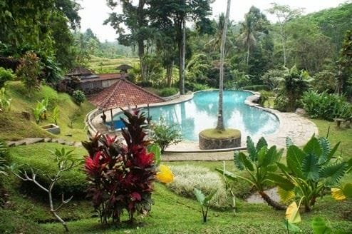 Imagen de la piscina del Hotel Yeh Panes Bali. Foto 18