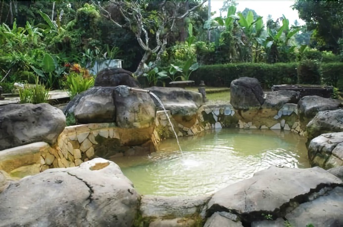 Imagen de la piscina del Hotel Yeh Panes Bali. Foto 19