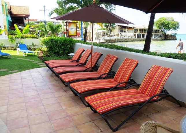 Imagen de la piscina del Hotel Yellow Bird. Foto 14