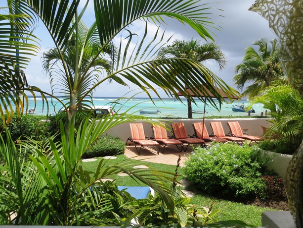 Imagen de los exteriores del Hotel Yellow Bird. Foto 11