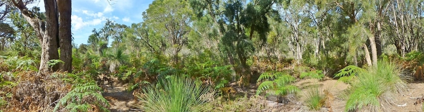 Imagen de los interiores del Hotel Yelverton Brook Conservation Sanctuary. Foto 16