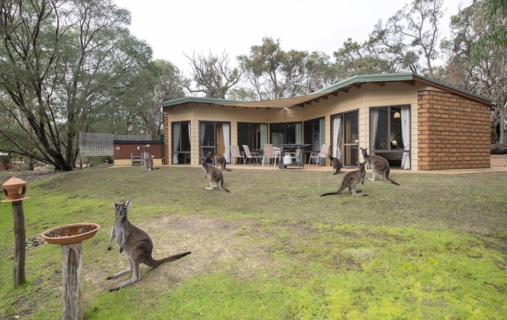 Imagen de la habitación del Hotel Yelverton Brook Conservation Sanctuary. Foto 11