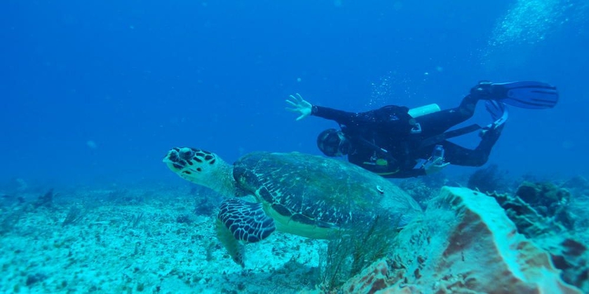 Imagen general del Hotel Yemaya Reefs. Foto 4