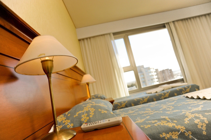 Imagen de la habitación del Hotel Yene Hue. Foto 5