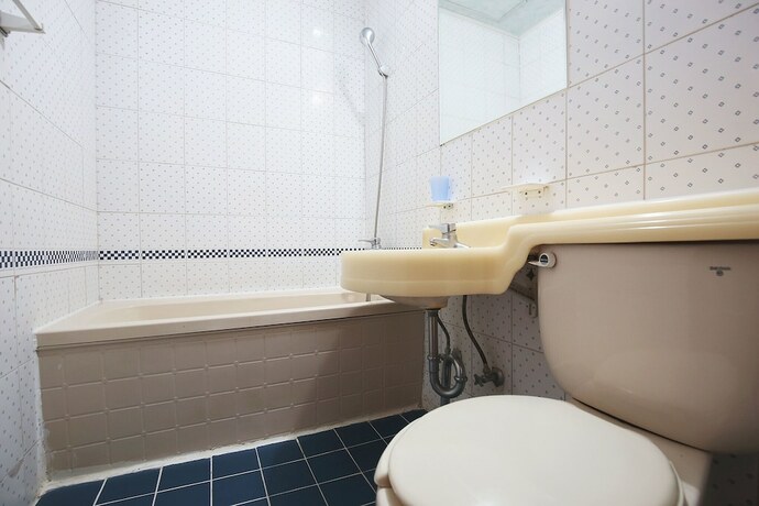 Imagen general del Hotel Yesan Lanos. Foto 5